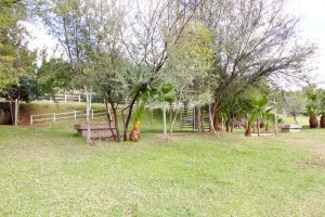 iKaia River Lodge | Keimoes | Northern Cape | Accommodation | Camping | Wedding Venue | Restaurant | A La Carte Menu | Riverside | Kgalagadi Transfrontier Park | Augrabies Falls National Park | Riemvasmaak | Namaqualand | Upington | Namibia | Kenhardt | Johannesburg | Bloemfontein | ceremonies | events | functions | receptions | bridal suite | sunset views